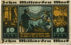 10 Milliards Mark DEUTSCHLAND Elberfeld 1924 P.175