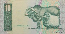 10 Rand AFRIQUE DU SUD  1982 P.120c SPL