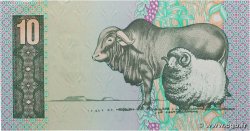 10 Rand AFRIQUE DU SUD  1990 P.120e SPL