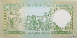 5 Pounds SIRIA  1988 P.100d FDC