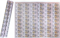 01 Euro Essai GERMAN FEDERAL REPUBLIC  2013 P.-