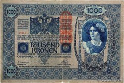 1000 Kronen AUTRICHE  1902 P.059