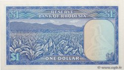 1 Dollar RHODÉSIE  1979 P.38a NEUF