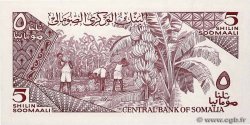 5 Shilin = 5 Shillings SOMALIA  1986 P.31 FDC