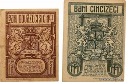25 et 50 Bani Lot RUMÄNIEN  1917 P.070 et P.071 SS