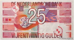 25 Gulden PAESI BASSI  1989 P.100