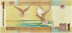 1 Pound SUDAN  2006 P.64a VZ