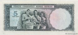 5 Lira TURQUíA  1965 P.174 EBC