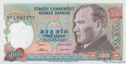 5000 Lira TURQUIE  1981 P.196A