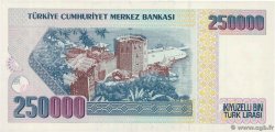 250000  Lirasi TURQUIE  1992 P.207 NEUF