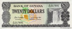 20 Dollars GUYANA  1989 P.24d