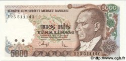 5000 Lira TÜRKEI  1992 P.198 ST