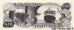 20 Dollars GUYANA  1989 P.24d UNC