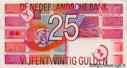 25 Gulden NIEDERLANDE  1989 P.100 ST
