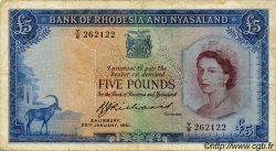 5 Pounds RHODESIA E NYASALAND (Federazione della)  1960 P.22b MB