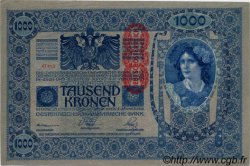 1000 Kronen  AUSTRIA  1919 P.059