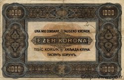1000 Korona UNGHERIA  1920 P.066a MB