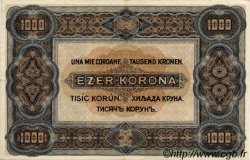1000 Korona UNGHERIA  1920 P.066a SPL