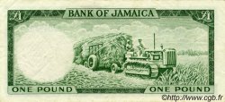 1 Pound JAMAICA  1964 P.51Cc MBC+