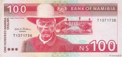 100 Namibia Dollars NAMIBIA  1993 P.03a VF