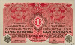 1 Krone AUSTRIA  1916 P.020 AU