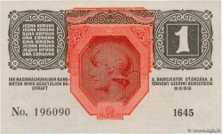 1 Krone AUSTRIA  1919 P.049 FDC