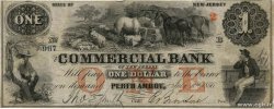 1 Dollar UNITED STATES OF AMERICA Perth Amboy 1856  VF-