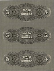 5 Pesos Planche MEXICO  1897 PS.0419r FDC