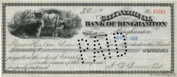 20 Dollars ÉTATS-UNIS D AMÉRIQUE Binghamton 1903 DOC.Chèque