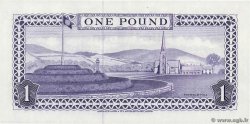1 Pound ISLE OF MAN  1979 P.34a AU+