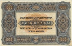 1000 Korona HONGRIE  1920 P.066a TTB