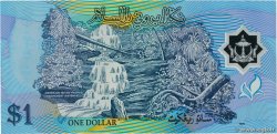1 Ringgit - 1 Dollar BRUNEI  1996 P.22a AU