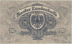 20 Heller ÖSTERREICH  1919 PS.140 fST
