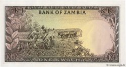 1 Kwacha ZAMBIA  1979 P.19a UNC