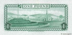1 Pound ÎLE DE MAN  1983 P.38a FDC