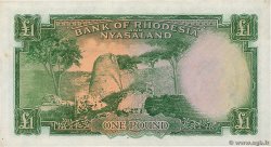 1 Pound RHODESIA AND NYASALAND (Federation of)  1960 P.21b AU-