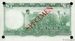 1 Pound Spécimen MALAWI  1964 P.03s pr.NEUF