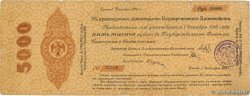 5000 Roubles RUSSIA Omsk 1918 PS.0833 F-