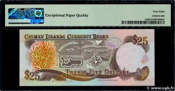 25 Dollars CAYMANS ISLANDS  1991 P.14 UNC
