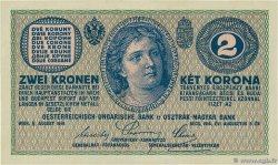 2 Kronen  AUSTRIA  1914 P.017b