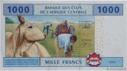 1000 Francs CENTRAL AFRICAN STATES  2002 P.407Aa UNC-