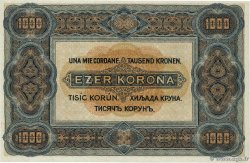 1000 Korona UNGHERIA  1920 P.066a q.FDC