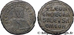LEO VI THE WISE Follis