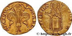 PROVENCE - ARCHDIOCESE OF ARLES - ETIENNE II OF THE GARDE Florin d or