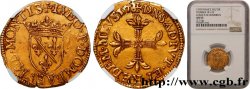 DOMBES - PRINCIPAUTÉ DE DOMBES - LOUIS II DE MONTPENSIER Écu d’or (demi-pistole)