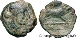 TURONES (Area of Touraine) Bronze AGVSSROS au sanglier