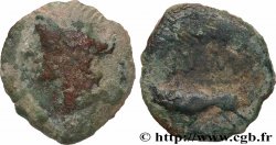 NEMAUSUS - NÎMES Bronze au sanglier NAMA SAT