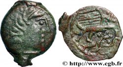 CARNUTES (Région de la Beauce) Bronze “aux oiseaux et au serpent”