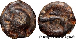 HAUTE ET MOYENNE SEINE Potin à la tête chauve