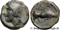 BITURIGES CUBES, INCERTAINES Potin MA au taureau à droite